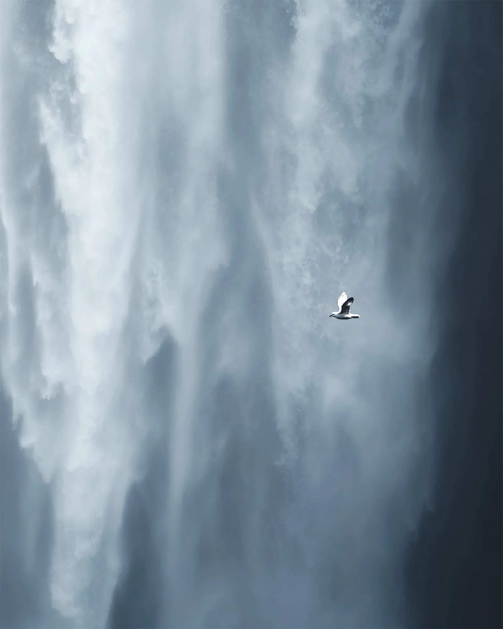 Skogafoss_pardal Skogafoss_pardal